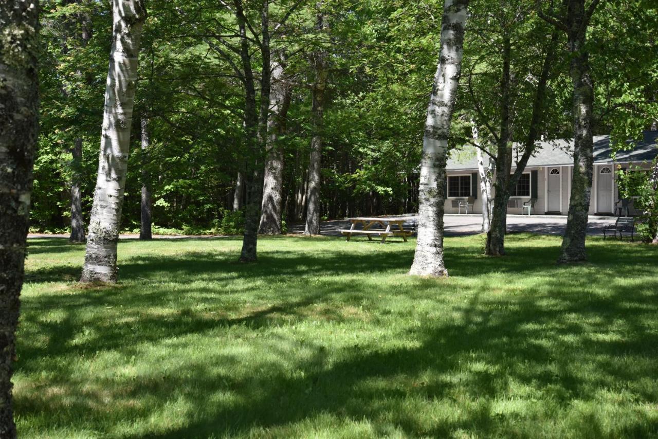 Acadia Pines Motel บาร์ฮาเบอร์ ภายนอก รูปภาพ